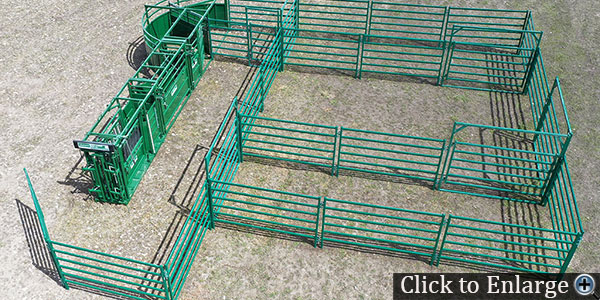 Lakeland C3000a cattle handling system